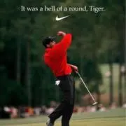 Tiger's shopの画像