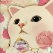 sakusoの画像