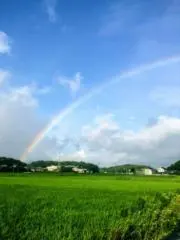 リラックマ