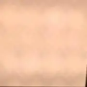 歯科医