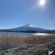 もったけの画像