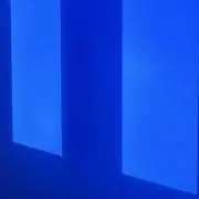 Bi