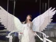 ありの画像
