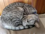 とも