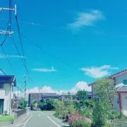 あおの画像
