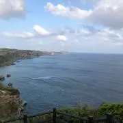 クロさんの画像