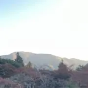 トライドンの画像