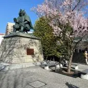 チロちゃんの画像