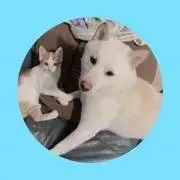 Kan-Takuの画像