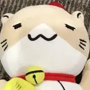 tsutti_99の画像