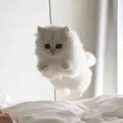 yyy