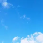ももみるの画像