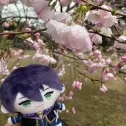 はみやの画像