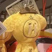 ^ ^