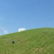ツムツム