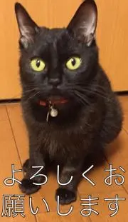 あこの画像