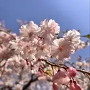 ひびの画像