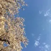 眠り姫