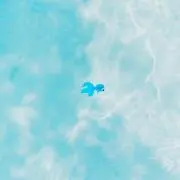 トウ