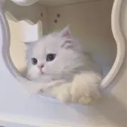 ☺︎の画像