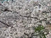 LAVILU ★プロフ必読★の画像