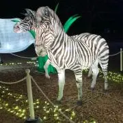Mの画像