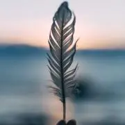 キリン郵便の画像