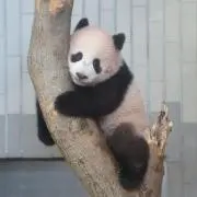 みーの画像