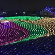 まあぼうの画像