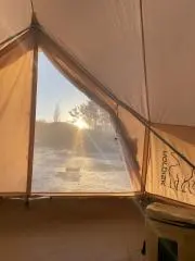 まーシーの画像