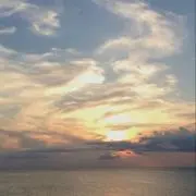 ぱちの画像