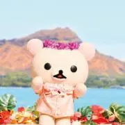 MARI Sの画像