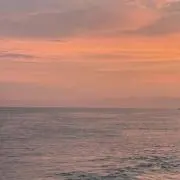 yukkyの画像