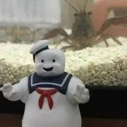 もっちゃん☆SALE中の画像