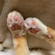 み〜こ