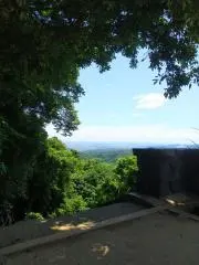 りーの画像