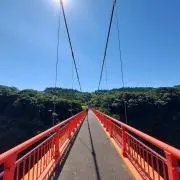 naka.spitzの画像