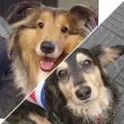 リッキー&ゴルフの画像