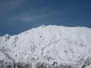 一茶隊長