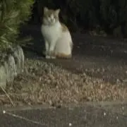 みうの画像