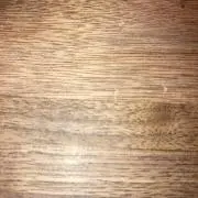 SNUKYの画像