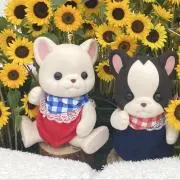 さくさくこぱんだの画像