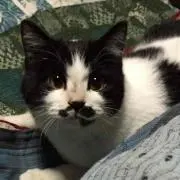 くうちゃん