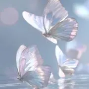 neo ※ペットあり