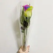 nana✳︎