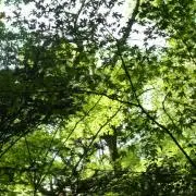りぃの画像
