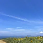 みぃの画像
