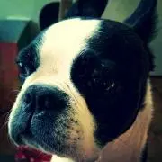 tomotene