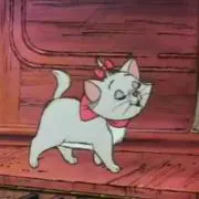 エリの画像