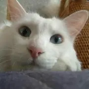 kotaroの画像